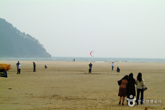 다대포해수욕장 다대포해수욕장