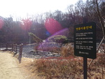 서울_봉화산근린공원11