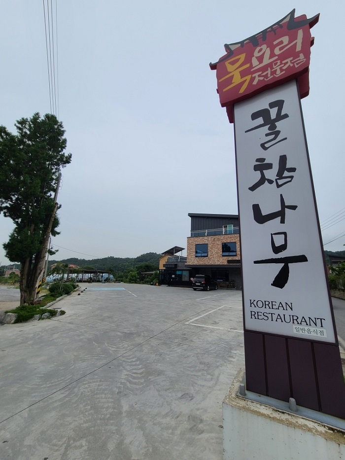 蜜橡树