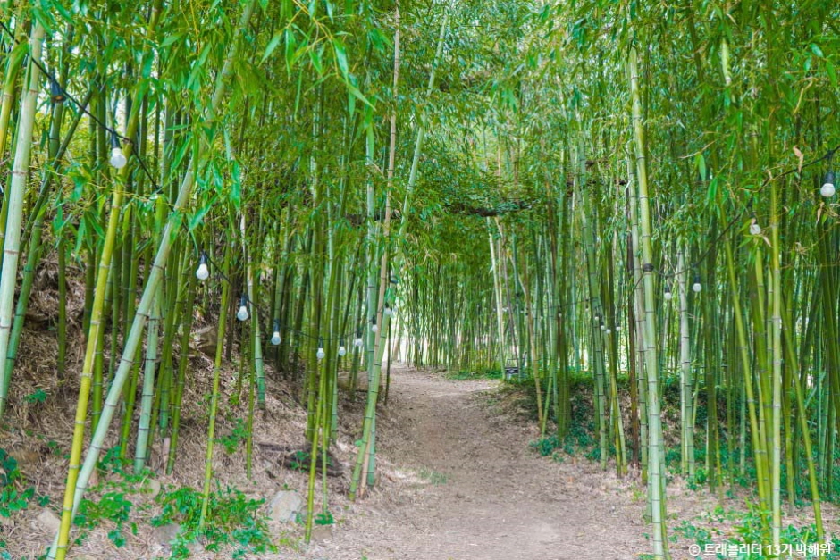 水安村