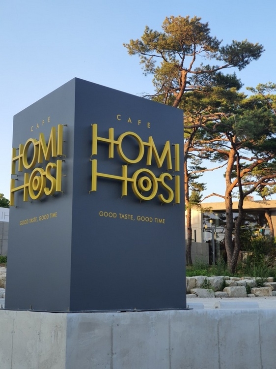 Homi Hosi