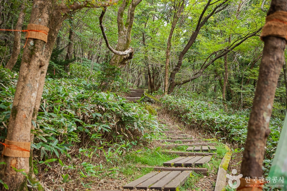 汉拿山徒步