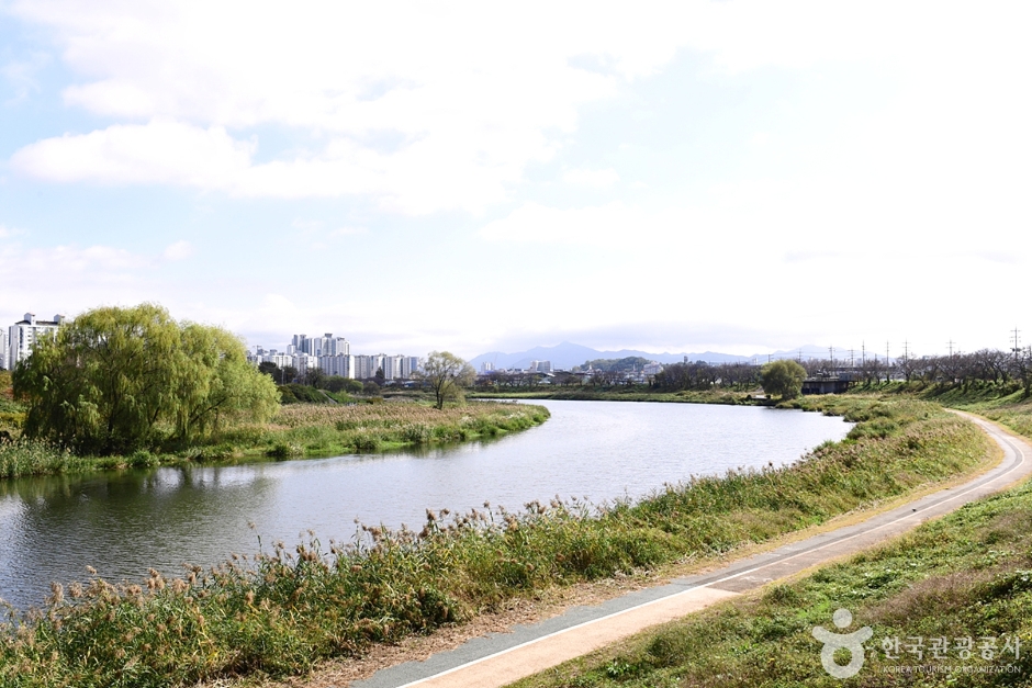 八福洞川辺