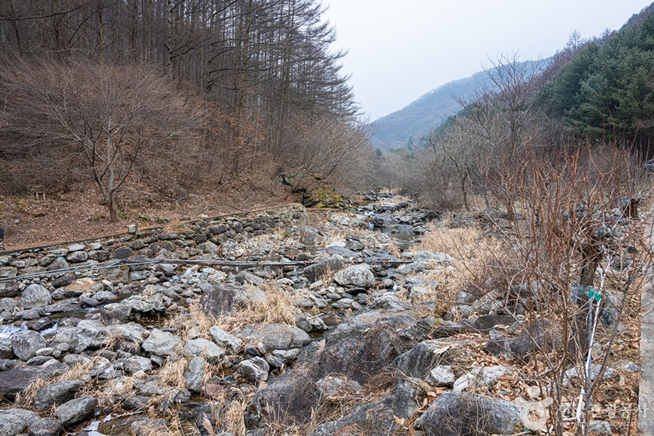明智山トレッキング
