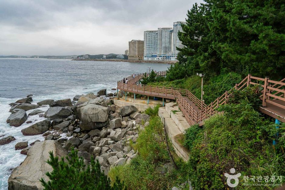 Sokcho Oeongchi Badahyanggiro Trail