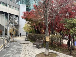 신도림테크노근린공원 사진 6