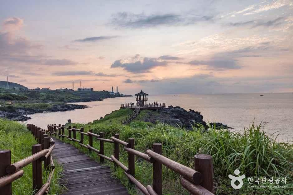 제주_닭머르해안길 (7).jpg