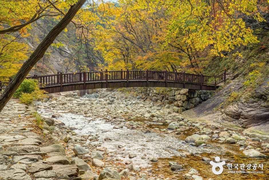 양양_설악산 오색주전골 (9).jpg