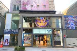 adidas Originals Flagship Garosu-gil [Tax Refund Shop](아디다스 오리지널스 플래그십 가로수길)