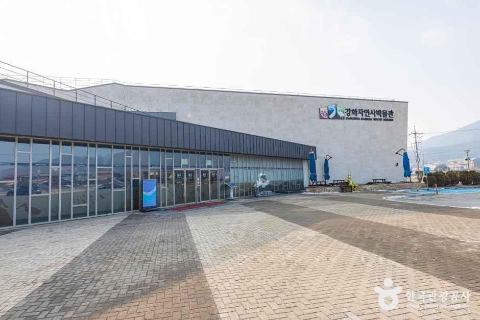 江華自然史博物館