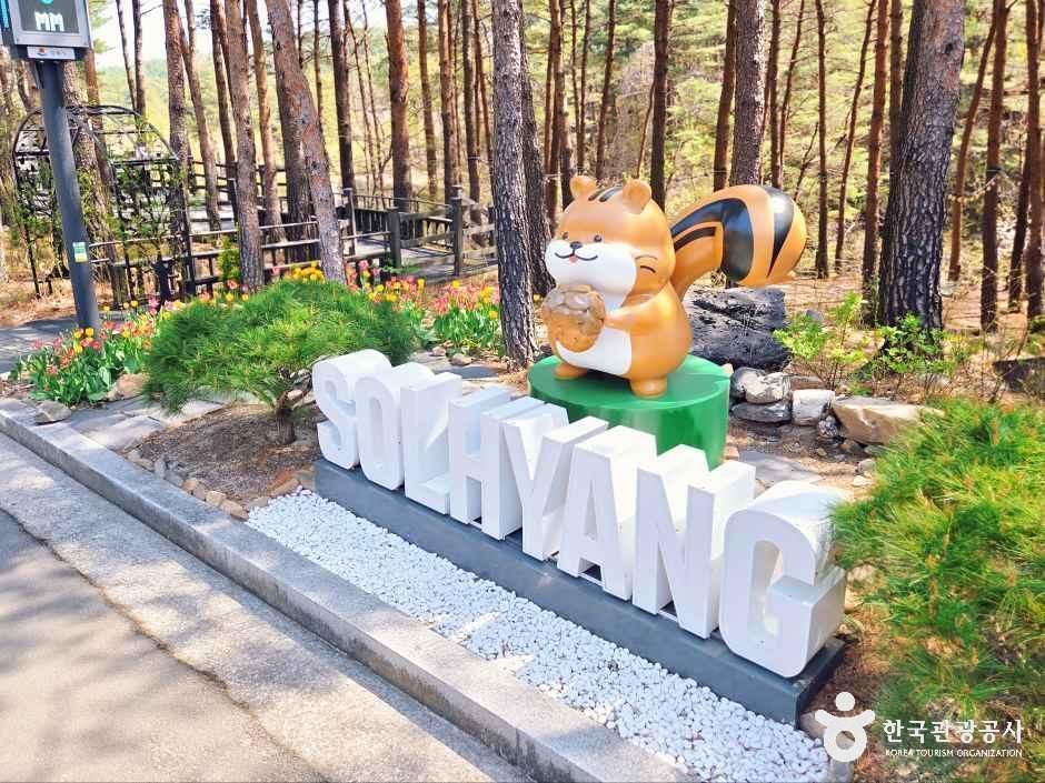 강릉 솔향수목원