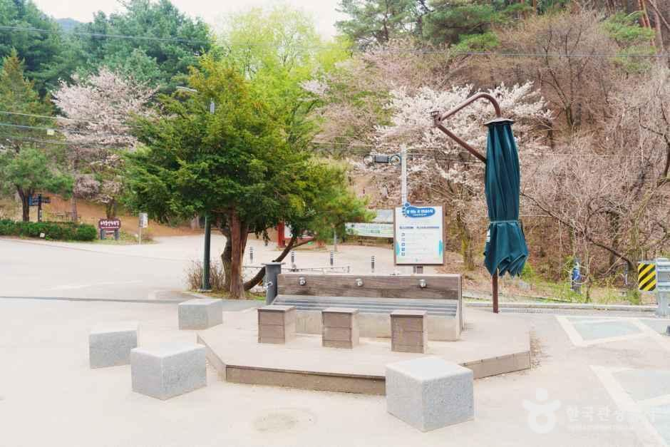 운곡솔바람숲길