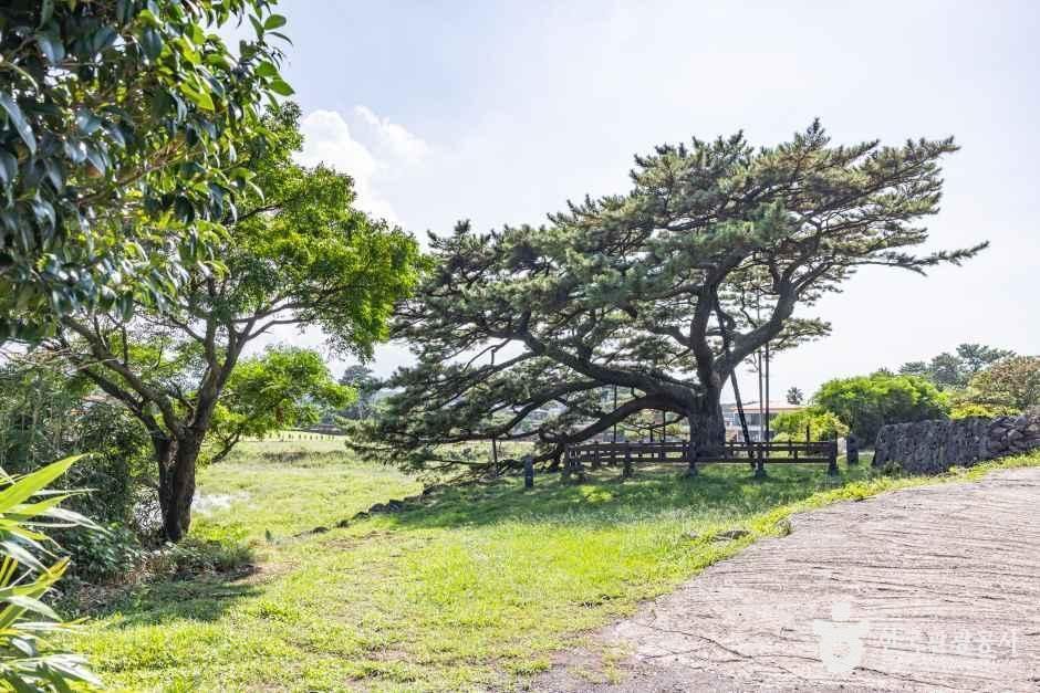 수산저수지
