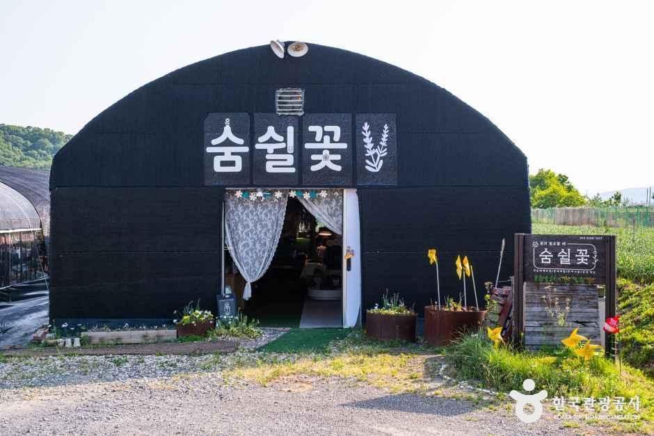 숨쉴꽃 허브 체험농장
