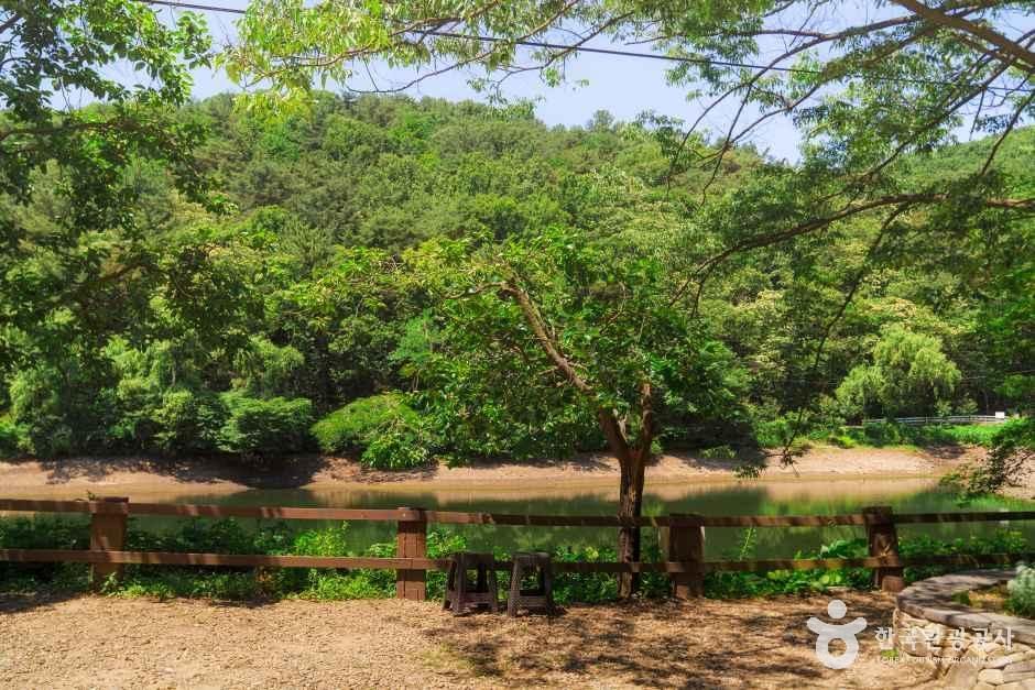 엔학고레
