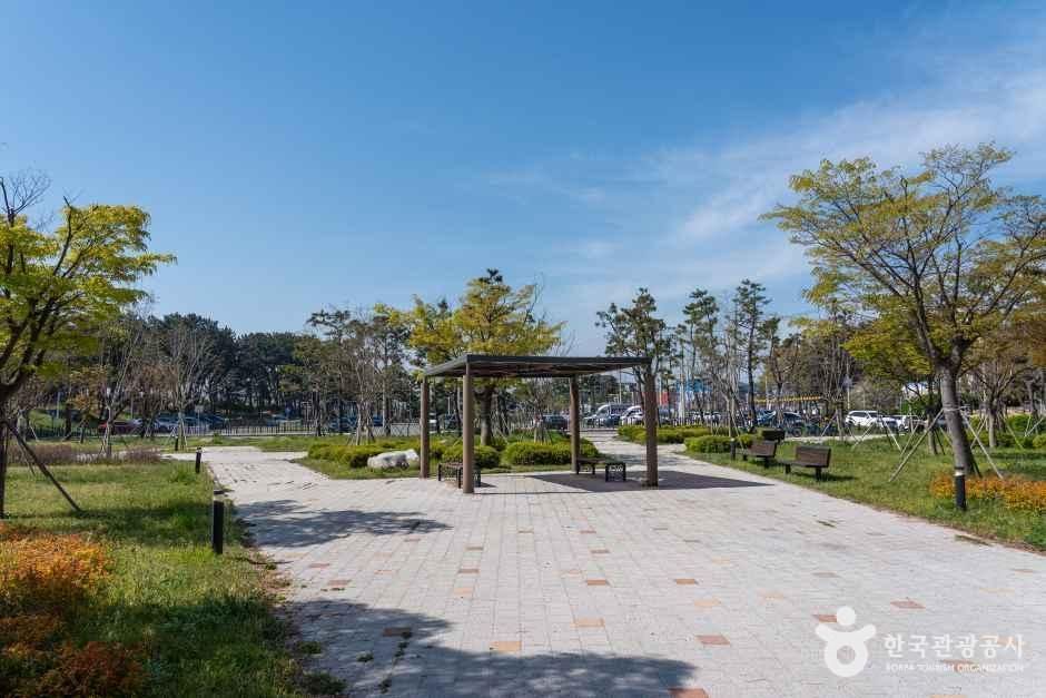 안산_대부도공원 (3).jpg