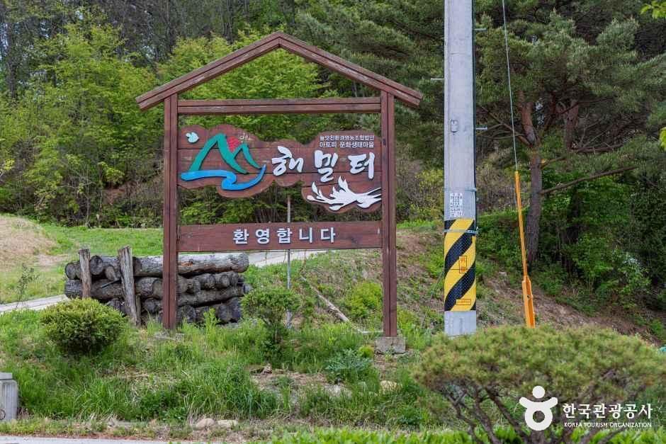 해밀터