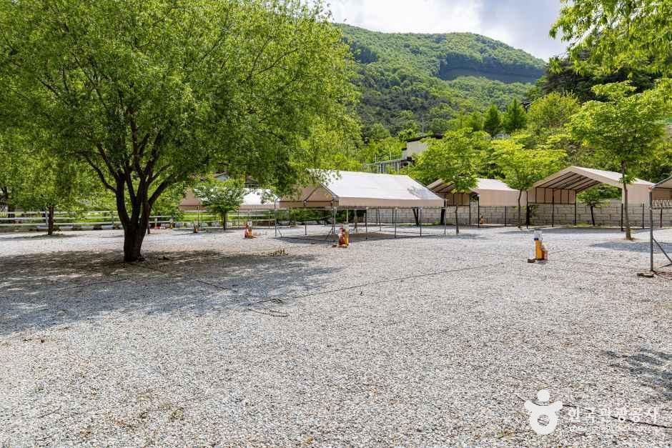가마실캠핑장