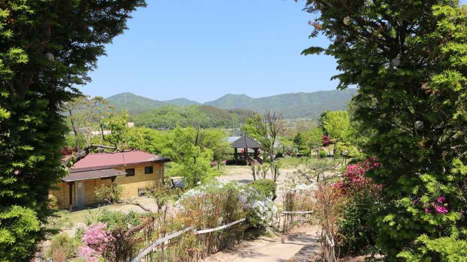 자연촌 여주 참숯마을 캠핑장