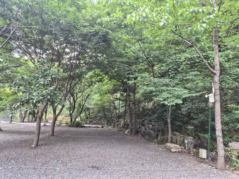 월계수 캠핑장 - 경상북도 경주시 산내면 문복로 758 관광 명소