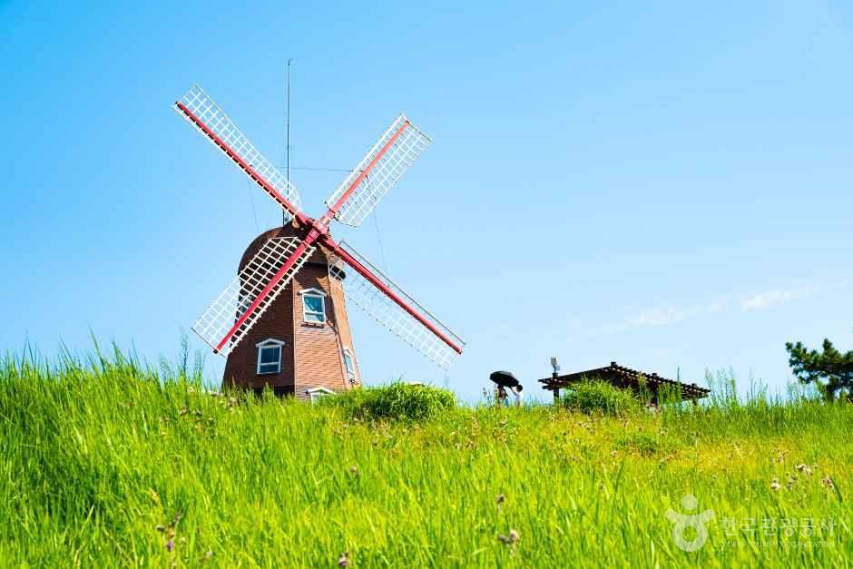 바람의 언덕