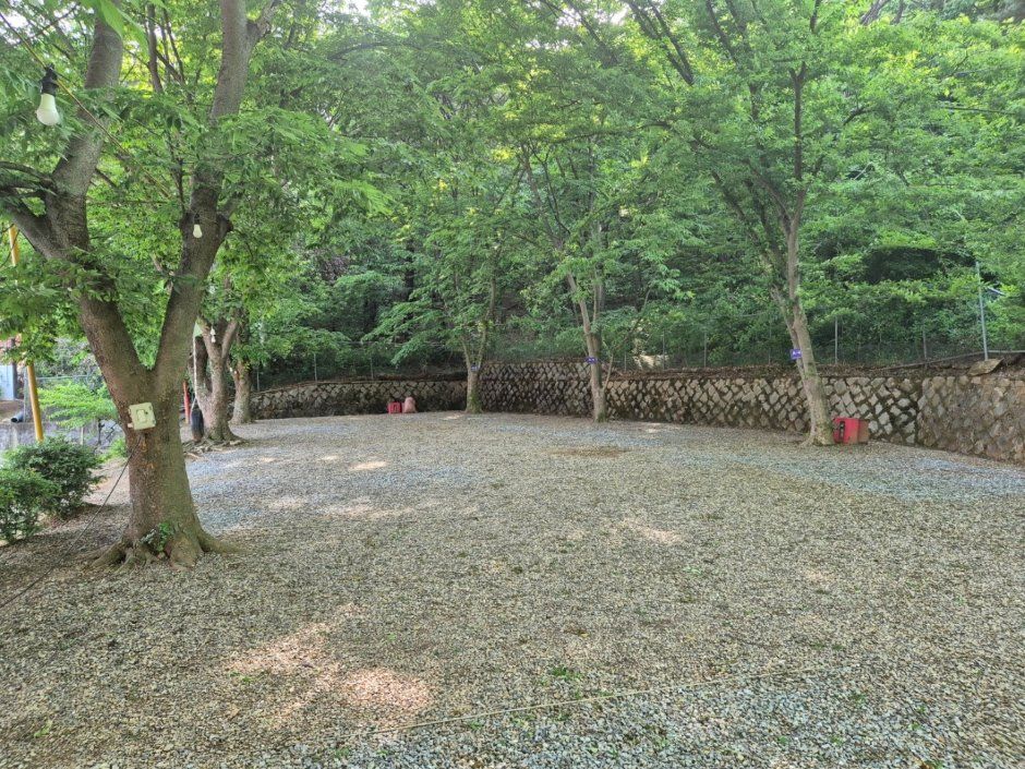 학교안풍경캠핑장