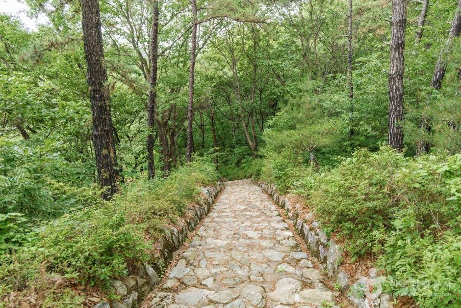 최영장군묘