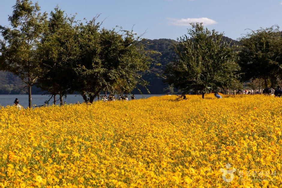 호국의병의숲 친수공원