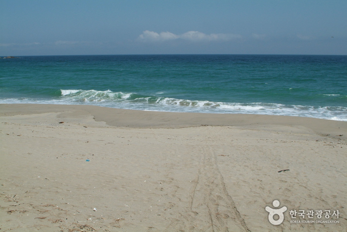 원평해변(원평해수욕장) 원평해변(원평해수욕장)