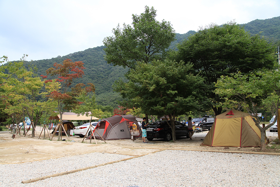 ダルグン自動車野営場