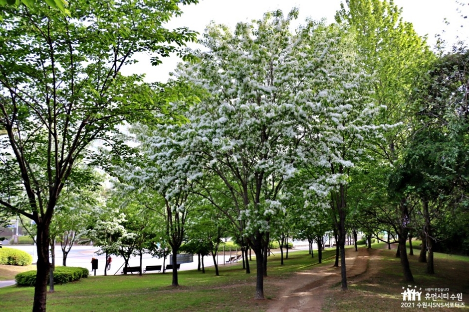 여기산공원