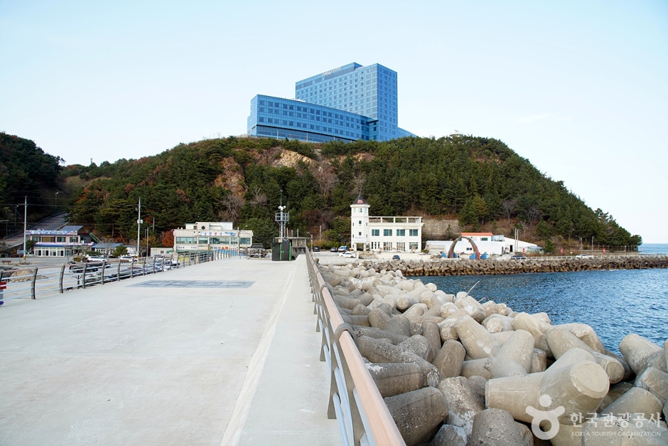 金津防波堤