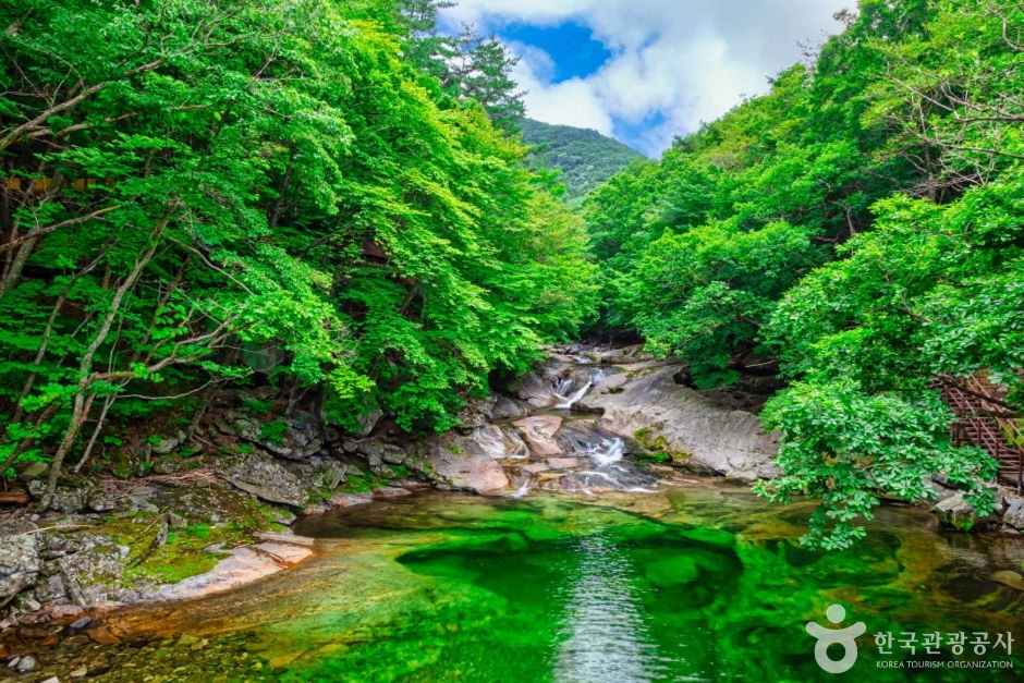 茂朱 九千洞 33景