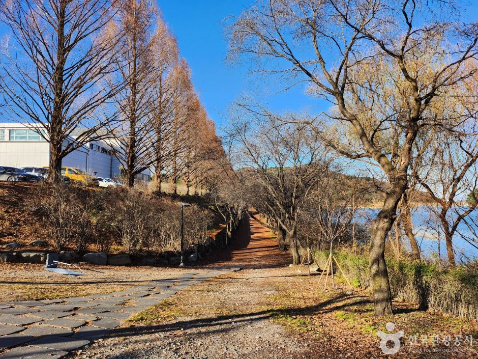 延世大学原州校区路