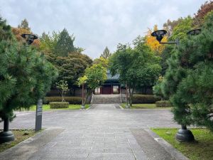 안국사 사진 3