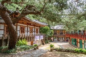 종로_금선사(서울) (3)