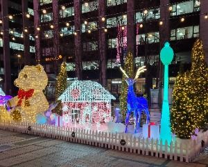 2025 겨울, 청계천의 빛 1