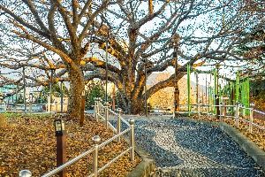 3590733 image3 1 예스키즈존 탐험대 : 실패 없는 육아여행