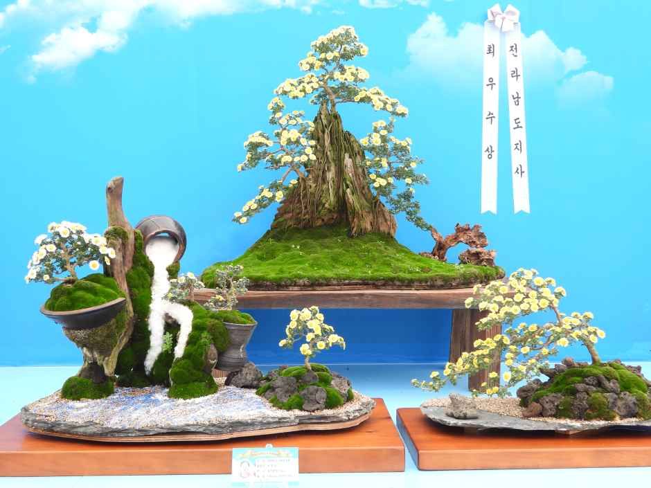 Koreanisches Chrysanthemenfestival (대한민국 국향대전)