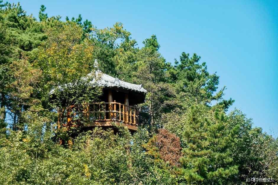 옥연지 송해공원