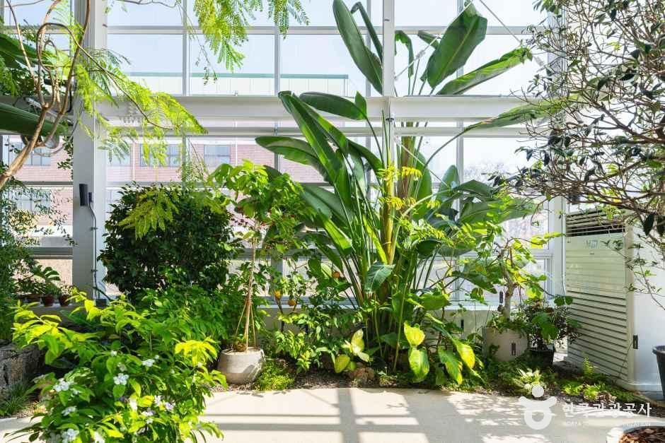 서울_도봉_초안산가드닝센터_내부_6.jpg