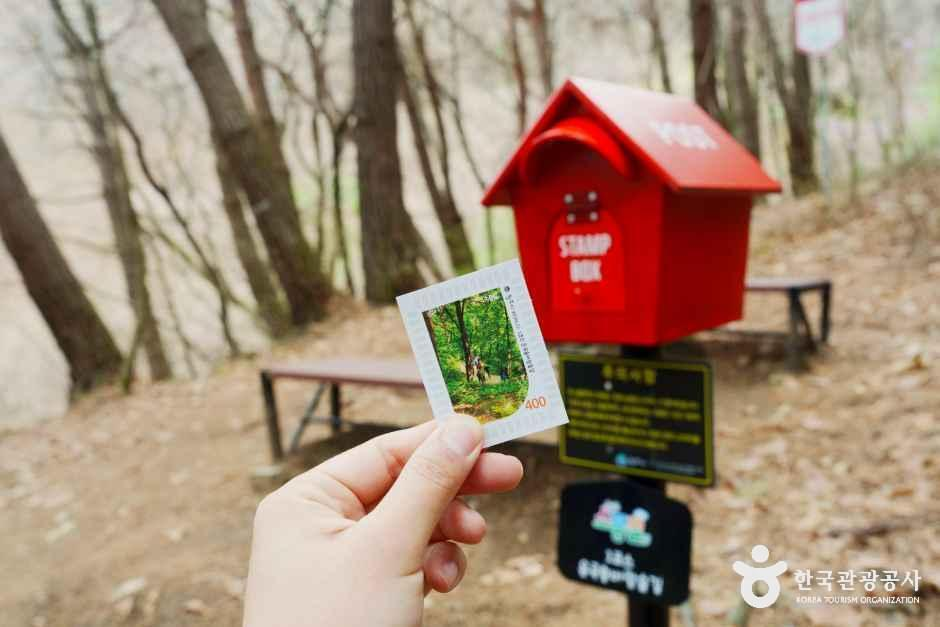 운곡솔바람숲길