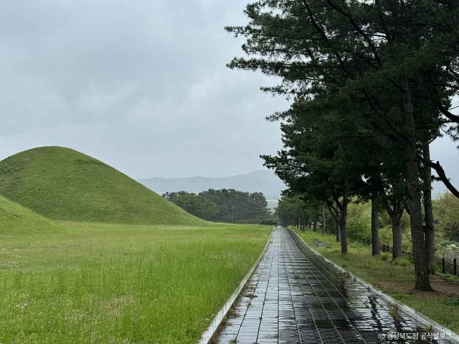 경주_경주 무열왕릉·태종무열왕릉비 (9).jpg