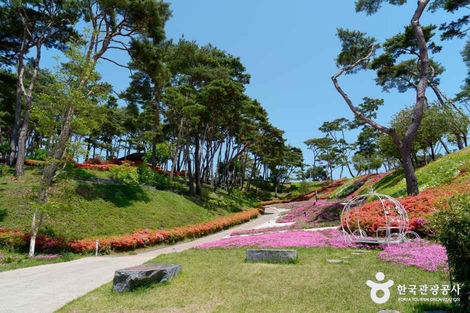 홍성솔바람테마파크