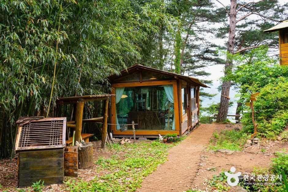 숲의하루