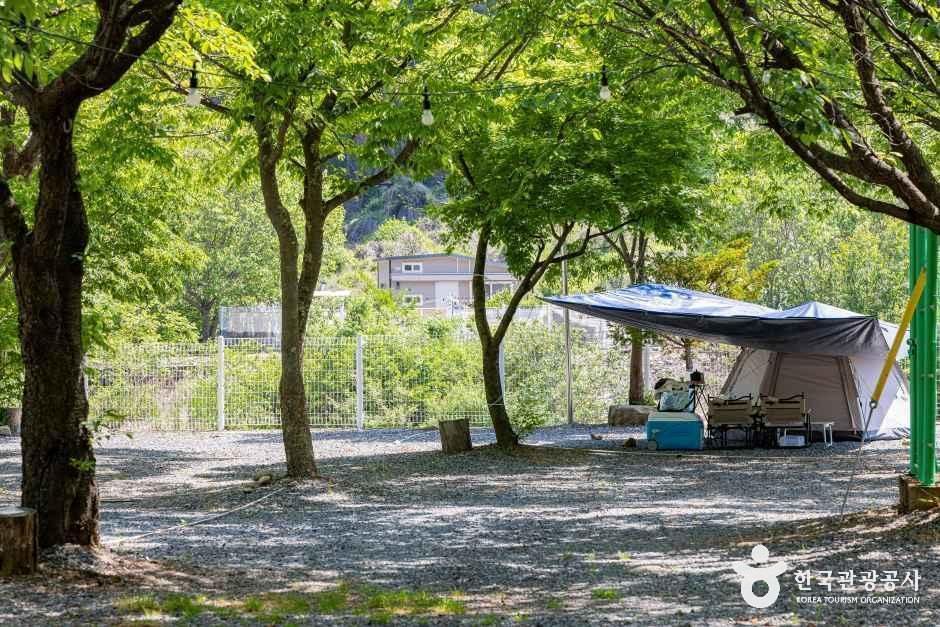 월악힐링캠핑장