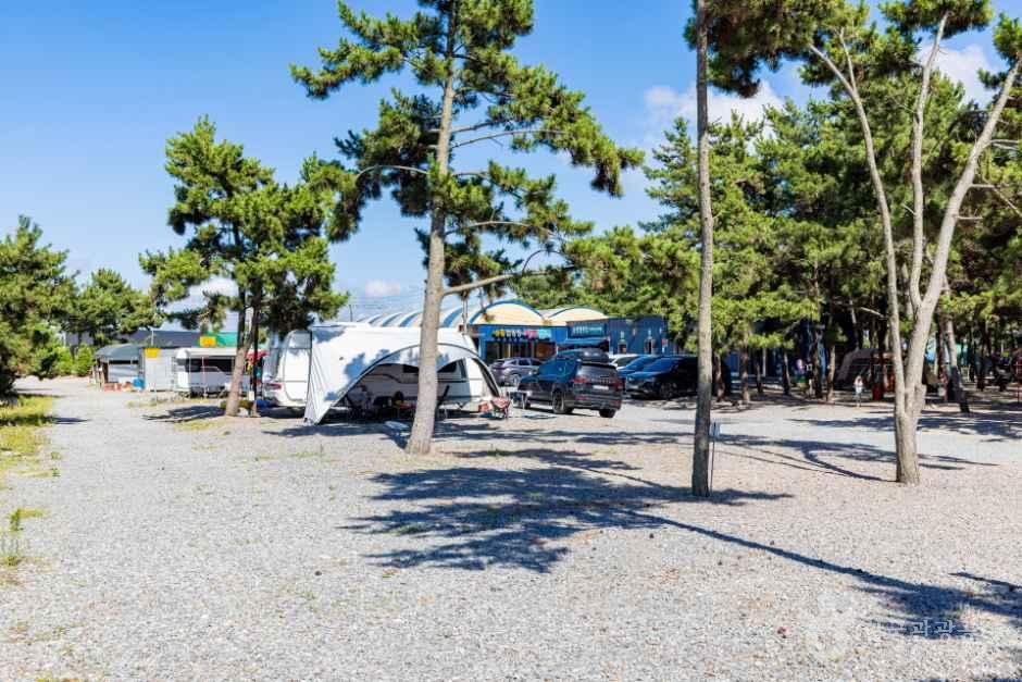 オウンドル松林キャンプ場