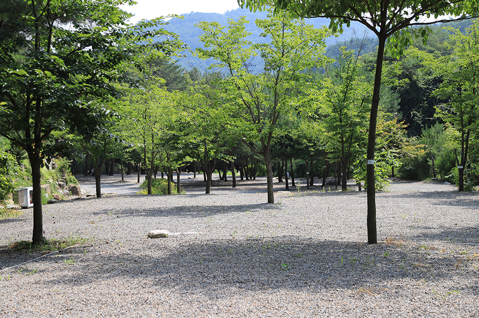 黄土と丸太小屋 キャンプ場