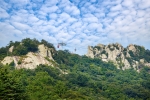 Yudalsan Mountain (유달산)
