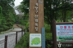 A04302_인천_계양_계양산 산림욕장(15)